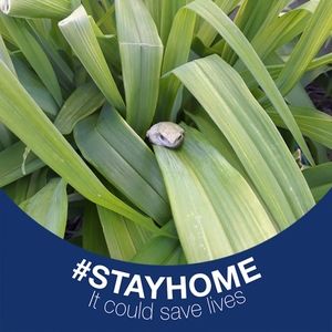 Meet your Posher, Randyanddianne